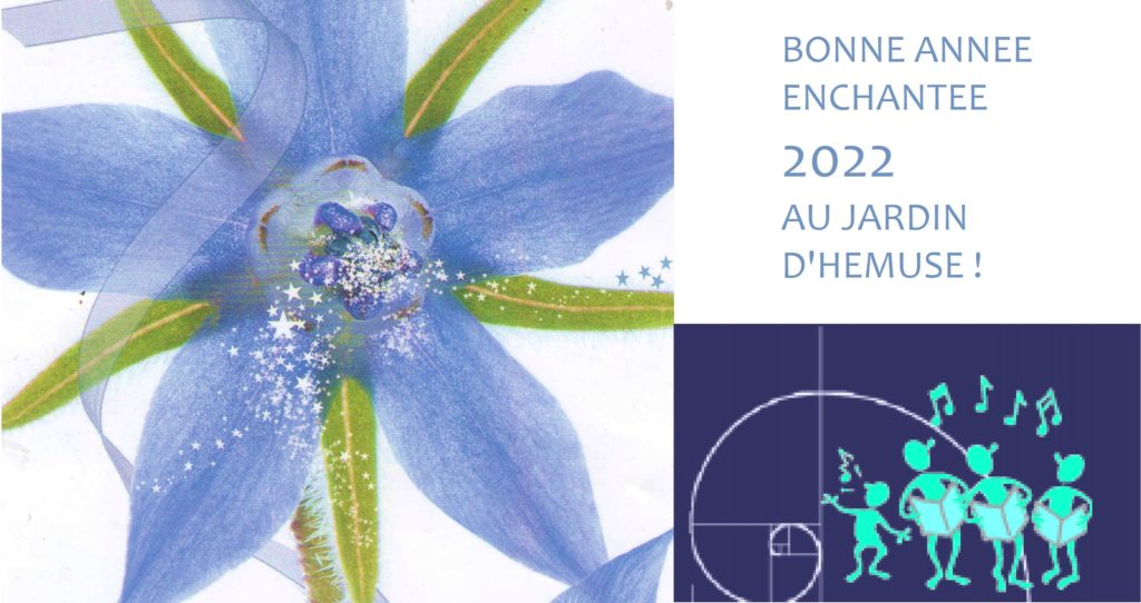 Bonne année enchantée 2022 en jardin d'Hémuse